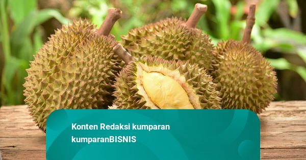 China Minta RI Suplai Jangka Panjang Durian hingga Sarang Burung Walet