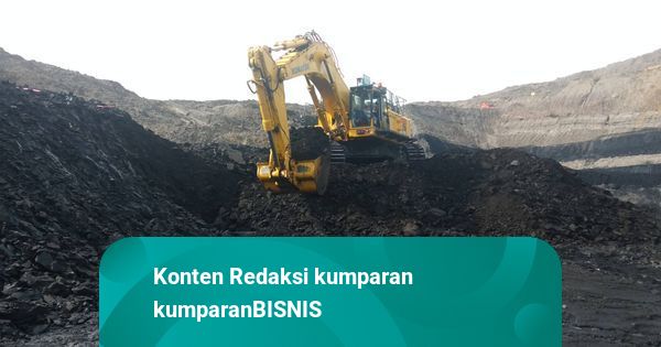 Menkop Rancang Kriteria Koperasi yang Bisa Kelola Tambang