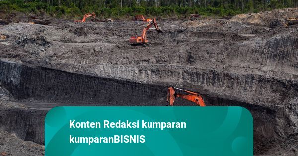 Tak Hanya Kopdes Merah Putih, Koperasi Umum Juga Bisa Kelola Tambang