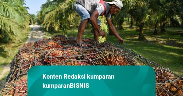 Ekspor Sawit RI 2026 Diperkirakan 32 Juta Ton, Tergantung Kebijakan Biodiesel