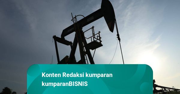 CEO Energi Dunia Merapat ke RI, Bahas Masa Depan Migas di Tengah Krisis Global