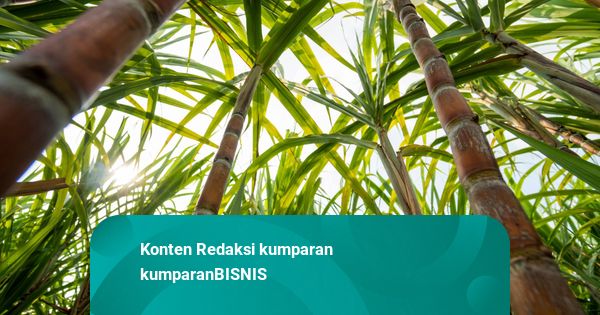 Wamentan Minta Impor Etanol Diperketat Agar Tetes Tebu Tak Numpuk di Pabrik Gula