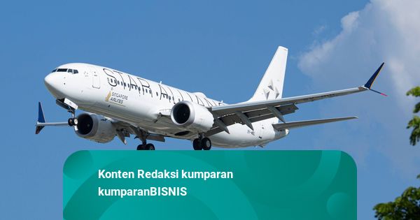 Pajak Bahan Bakar Hijau Pesawat di Singapura Dinilai Belum Cocok Diterapkan RI