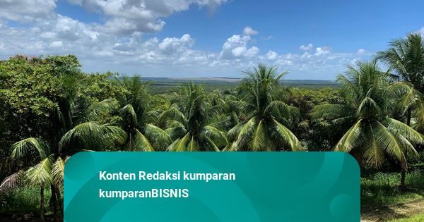 Mentan Amran Ajak Pengusaha Garap Hilirisasi Kelapa, Sebut Nilai Tambah Berlipat