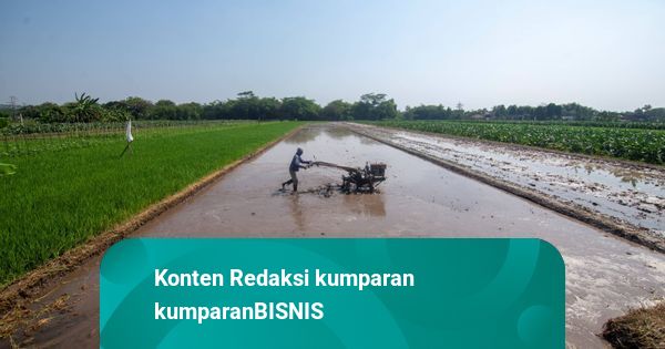 Berapa Anggaran Tambahan Kementan untuk Program Makan Bergizi Gratis?