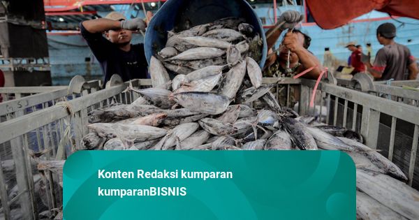 Sepanjang 2025, Produk Perikanan RI Merambah ke 147 Negara