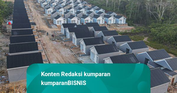 Rumah Tapak Jadi Pilihan Masyarakat RI, Hunian Vertikal Masih Butuh Insentif
