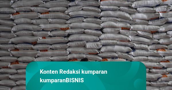 Bansos Beras 10 Kg Kemungkinan Dilanjutkan