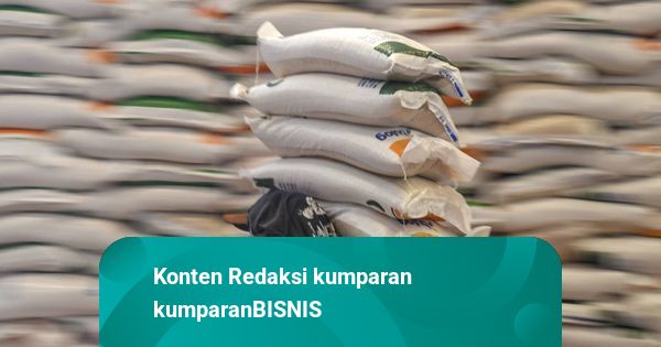 Penyaluran Beras Bulog Baru Capai 15,97 Persen dari 1,3 Juta Ton per Agustus