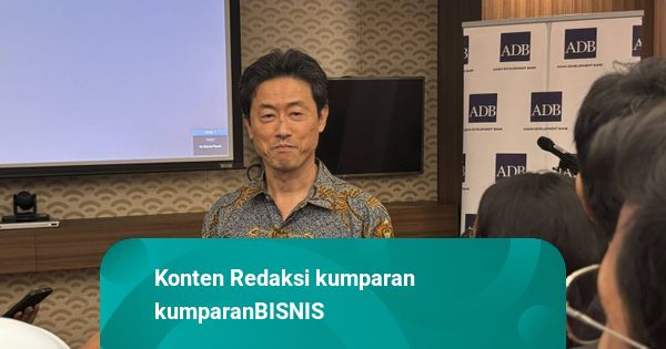ADB Sarankan Alternatif Genjot Penerimaan Negara Tanpa Naikkan PPN 12 Persen