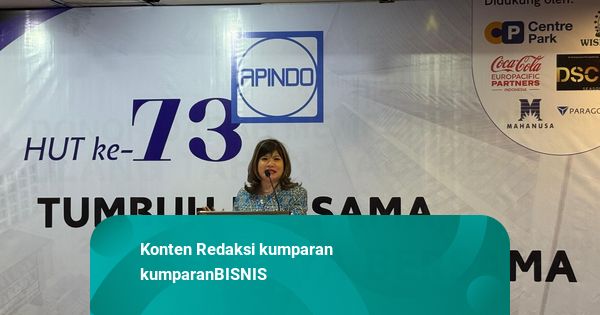 Apindo: Dewan Bisnis RI-Prancis Bisa Untungkan Sektor Manufaktur-Penerbangan