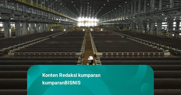 Negara Berkembang Produsen Mineral Kritis Ingin Belajar Hilirisasi Ala RI