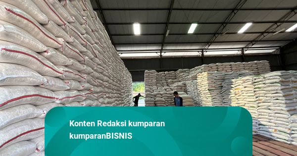 Bulog Anggap Tambahan 100 Gudang Baru Belum Cukup, Bakal Sewa Lagi
