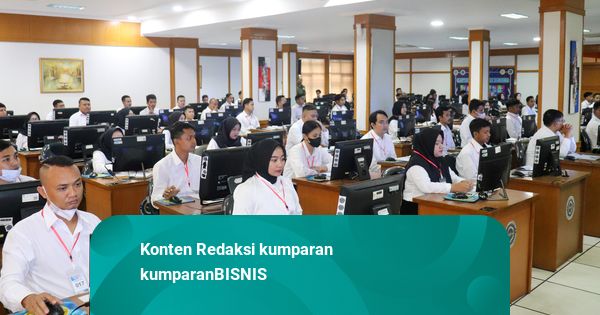 Pemerintah Pastikan Tidak Ada PHK Massal PPPK