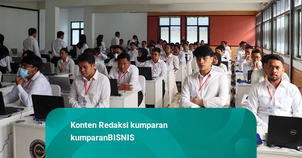 Populer: CPNS 2026 Buka untuk Fresh Graduate; Nasib Pegawai Bea Cukai