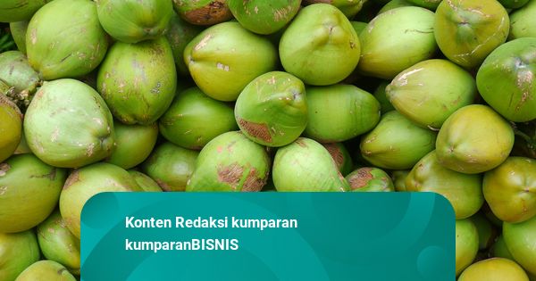 Harga Kelapa Bulat Mulai Turun, Dijual Rp 15.000-20.000 per Butir