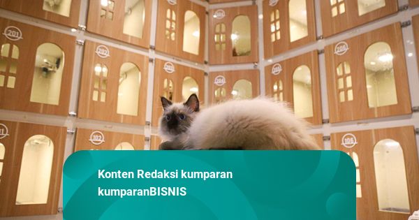 Foto: Geliat Jasa Penitipan Hewan Peliharaan Saat Mudik Lebaran