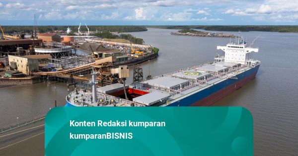 Freeport Setor Rp 7,73 Triliun dari Laba Bersih 2024 ke Kas Negara