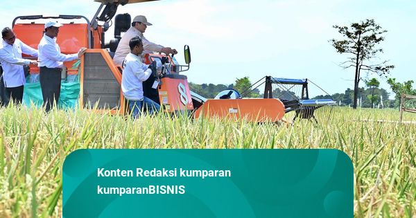 Eksponen Mahasiswa 98 Sebut Prabowo Sukses Bangun Kemandirian Pangan Nasional