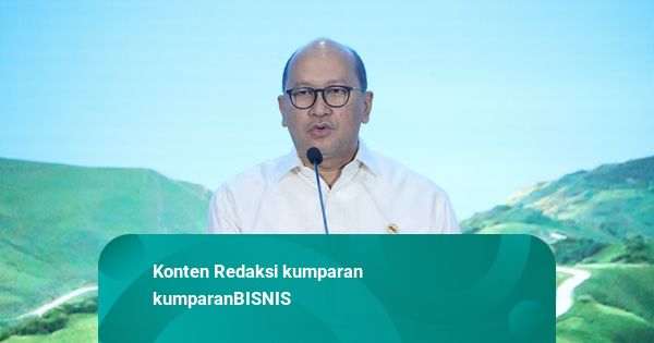 Gaet Bill Gates, Rosan Targetkan Danantara Trust Fund Bisa Kumpulkan Rp 16,53 T