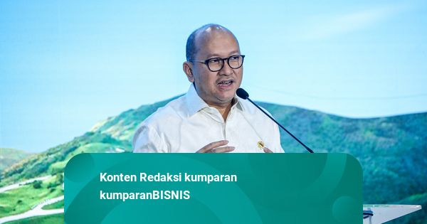 Rosan Akui Persaingan Tarik Investasi Antarnegara ASEAN Makin Ketat
