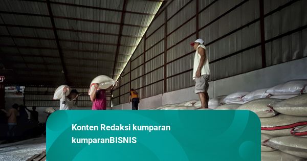 Harga di Global Anjlok Jadi Motif Beras Impor Ilegal 250 Ton dari Thailand