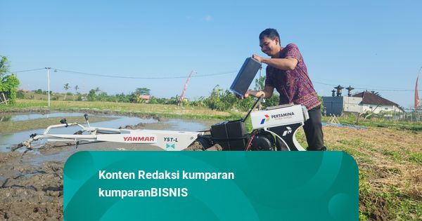 Pertamina Kembangkan Energi Transisi untuk Kesejahteraan Petani Desa Uma Palak
