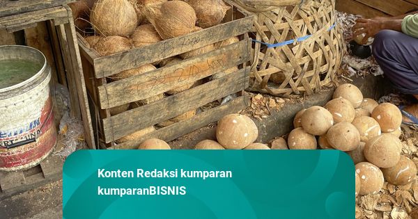 Harga Kelapa Bulat Ditargetkan Jadi Rp 6.000 per Butir