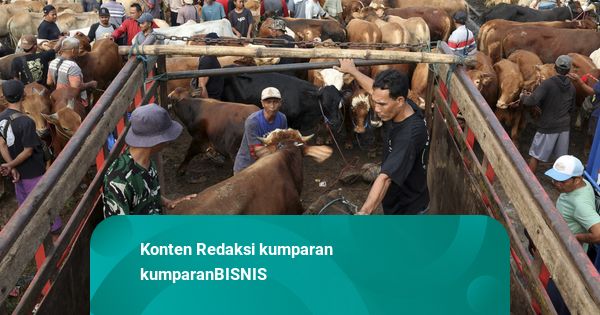 Bapanas Pastikan Pasokan Sapi Kurban di Pasaran Cukup