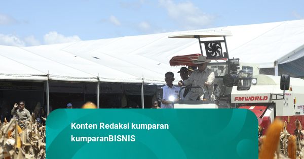 Pemerintah akan Gelontorkan 52,4 Ribu Ton Jagung SPHP