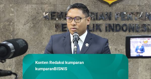 Wamentan Sebut Program Cetak Sawah di Papua Akan Diperluas