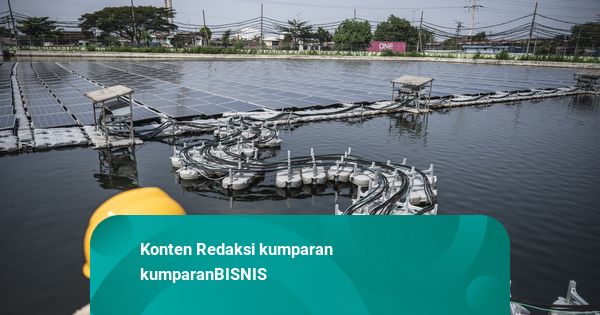 PLN IP Teken Kerja Sama Bay Group, Incar Proyek PLTS 495 MW di Bangladesh