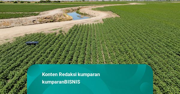 AS Bakal Pangkas Bea Masuk Alat Pertanian Jadi 15 Persen hingga Akhir 2027