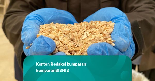Limbah Tulang Sapi Jadi Komoditas Ekspor, RI Kirim 168 Ton Bone Grist ke Jepang