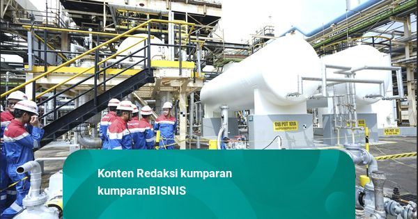Mengenal SAF, Avtur Buatan Pertamina Berbahan Minyak Jelantah Pertama di ASEAN