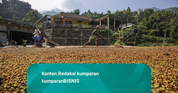 Kopi hingga Kakao Bakal Jadi Komoditas Unggulan di Daerah Tujuan Transmigrasi