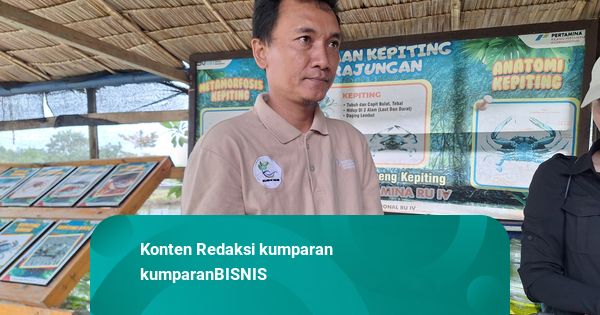 Mantan TKW-ABK Raup Omzet Puluhan Juta dari Kampoeng Kepiting Didukung Pertamina