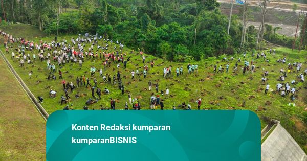 Insan OIKN Gelorakan Gerakan Menanam, 700 Pohon Ditanam di DAS IKN