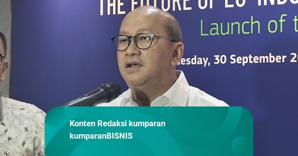 Rosan Sebut Induk Freeport di AS Sepakat Lepas 12 Persen Saham ke RI