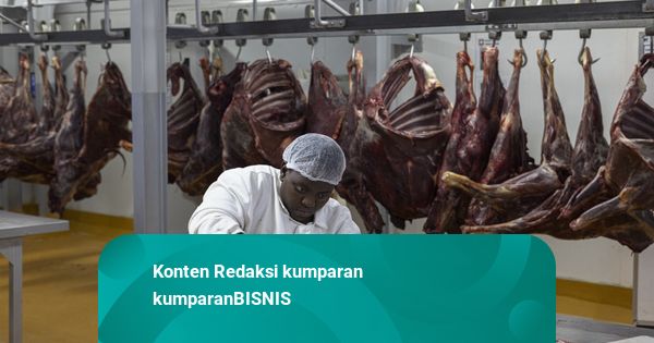 FAO Catat Harga Komoditas Pangan Dunia Turun, Daging Sentuh Rekor Tertinggi