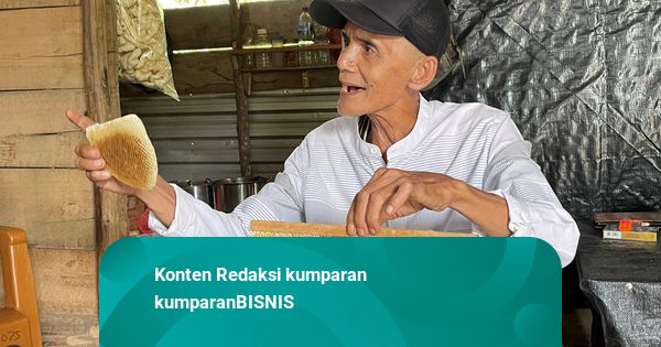 Dari Sarang Hancur Jadi Harapan Baru, Medco E&P Bantu Bustam Pulihkan Usaha Madu