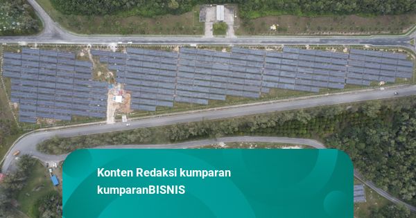 Terbesar di Migas RI, PLTS Rokan Kurangi Emisi Karbon Setara Tanam 1 Juta Pohon