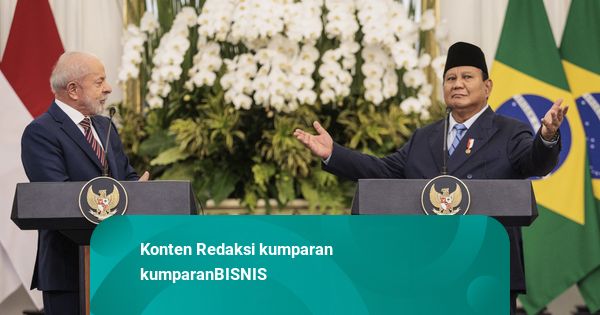 Presiden Lula: RI-Brasil Dua Negara Besar, Tapi Nilai Dagangnya Terlalu Kecil