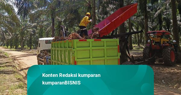 Produksi CPO Naik, Astra Agro Bukukan Laba Bersih Rp 1,47 T Sepanjang 2025