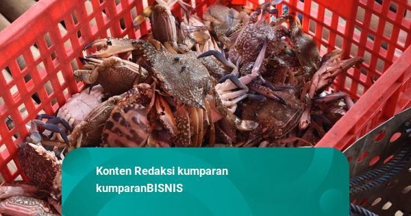 KKP Siapkan Panduan Buat Permudah Pelaku Usaha Ekspor Rajungan ke AS