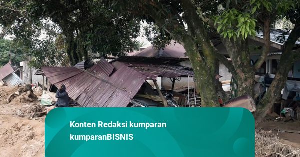 Mentan Bakal Tanam Ulang Lahan Sawah-Kopi yang Rusak Imbas Bencana Sumatera