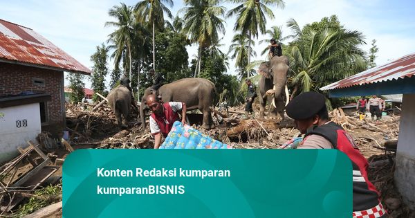 DJP Beri Keringanan Administrasi Wajib Pajak yang Terdampak Bencana Sumatera