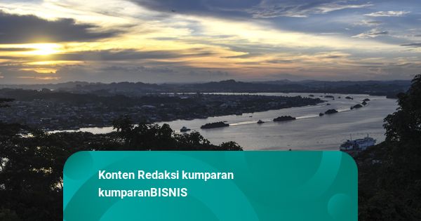 Harga CPO-Batu Bara Kompak Menguat, Timah Anjlok 1,49 Persen