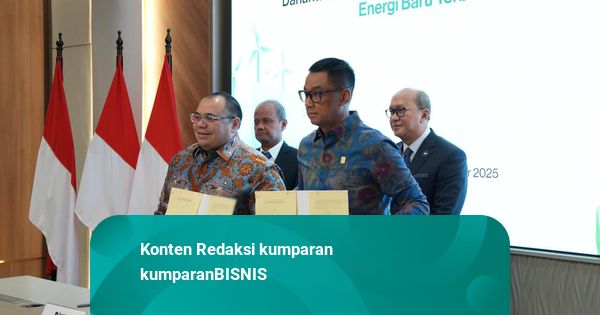 Danantara Jajaki Peluang Investasi Proyek Pembangkit EBT dengan PLN
