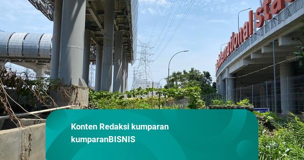 Cerita Warga Kampung Susun Bayam Raup Untung dengan Bertani di Lahan Samping JIS